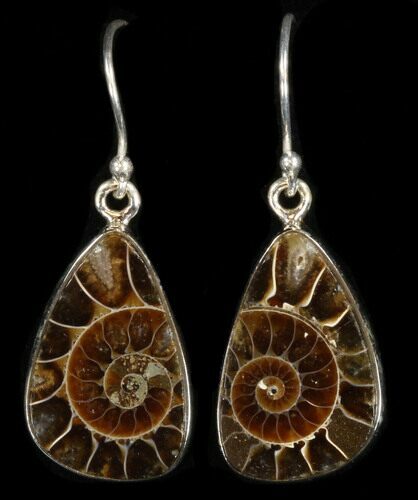 Fossil Ammonite Earrings - Sterling Silver #38129